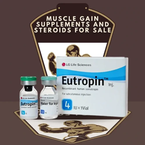 Hormônio do Crescimento Humano HGH