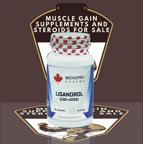 Ligandrol LGD-4033